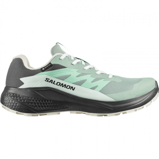 Salomon Alphaglide GTX, Löparskor, Dam, Grön/Grå - SEK 1.395 - Spara 0%