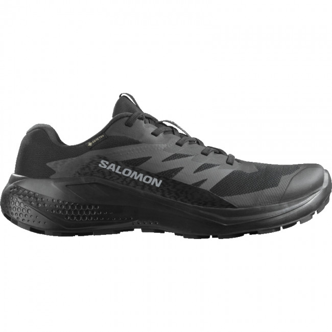 Salomon Alphaglide GTX, Löparskor, Herr, Svart