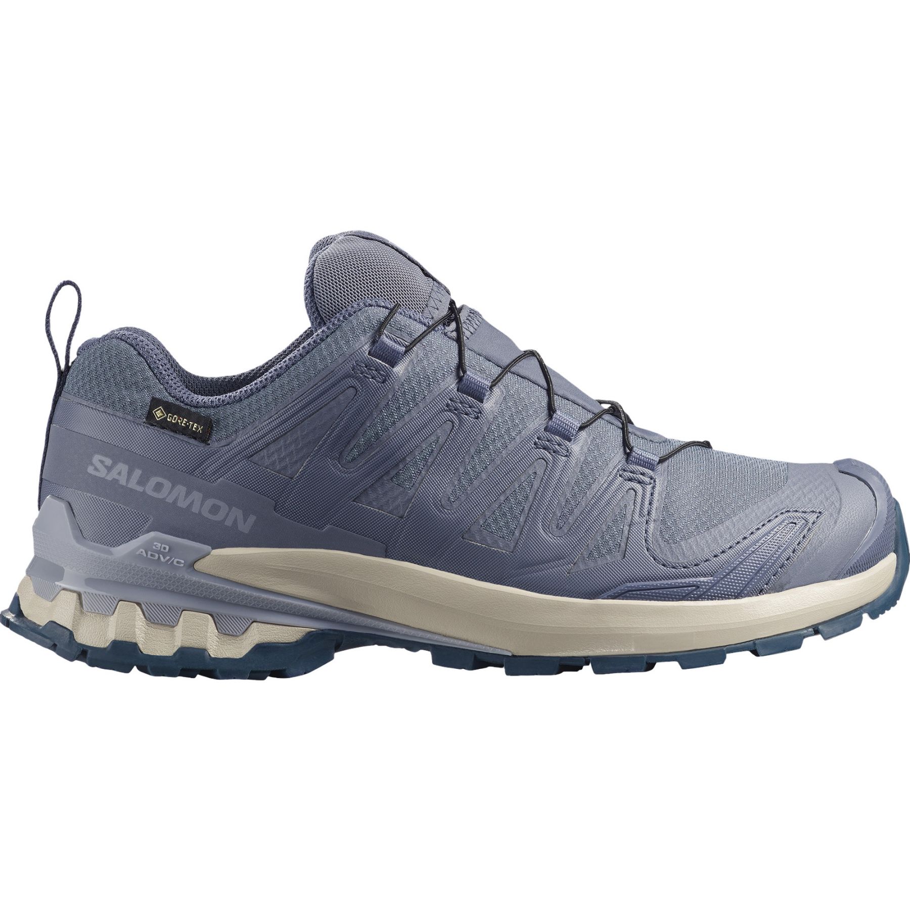 Salomon XA PRO 3D V9 GTX, Trailsko, Dam, Grå/Blå - SEK 1.514 - Spara 24%