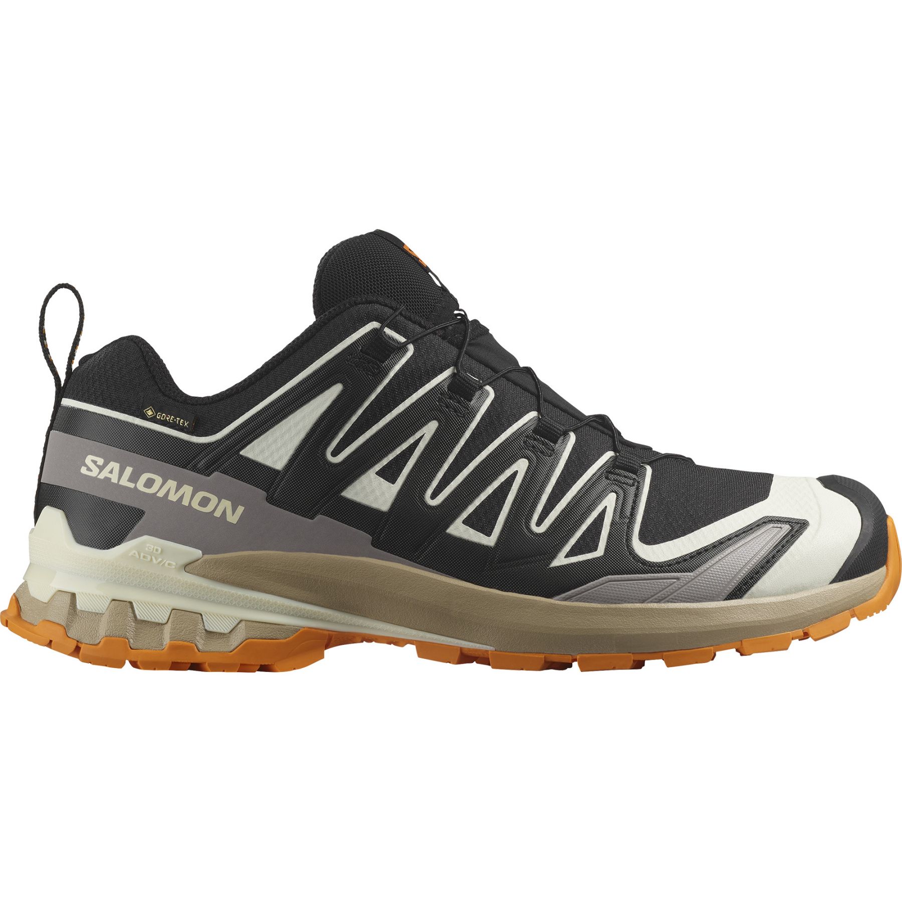 Salomon XA Pro 3D V9 GTX, Trailsko, Herr, Svart - SEK 1.495 - Spara 25%